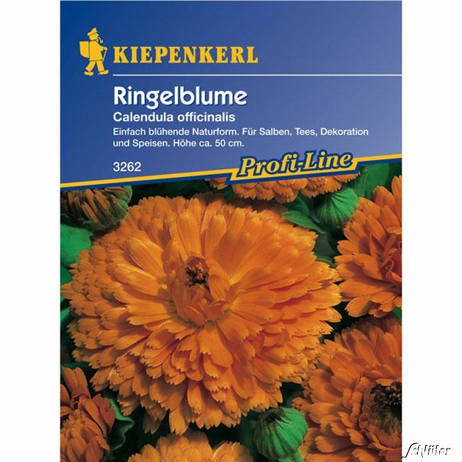 Kategorie <b>Kräuter-Samen </b> - Ringelblumen - Calendula officinalis