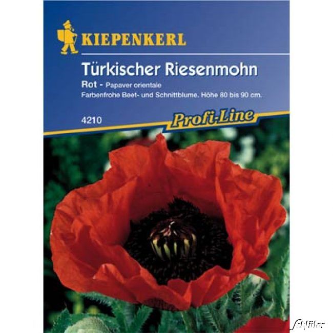 Kategorie <b>Blumensamen </b> - Mohn Türkischer Riesenmohn 'Rot' - Papaver orientale