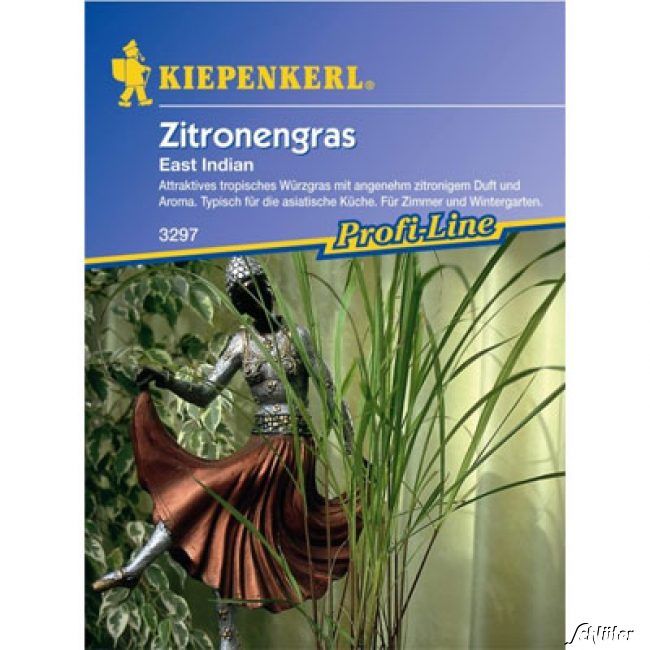 Kategorie <b>Kräuter-Samen </b> - Zitronengras East Indian - Cymbopogon flexuosus