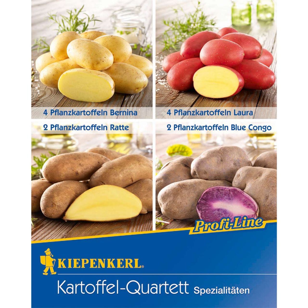 Kategorie <b>Produkt ohne Kategoriezuordnung </b> - Kartoffel-Quartett - 12 Stück -  4 Sorten zum Ausprobieren - Solanum tuberosum