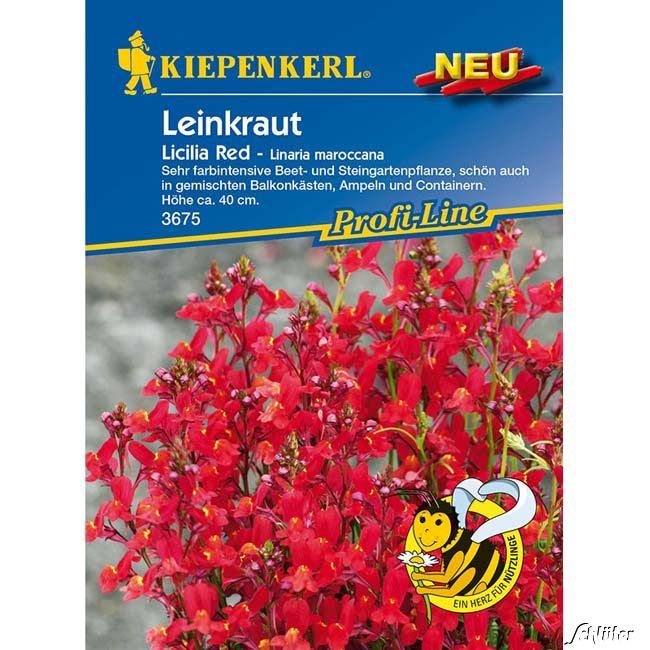 Kategorie <b>Blumensamen </b> - Leinkraut 'Licilia Red' - Linaria maroccana 'Licilia Red'