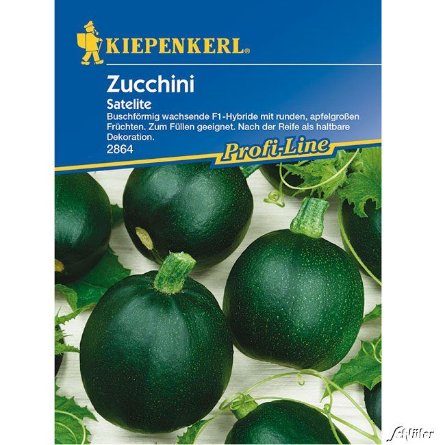 Kategorie <b>Gemüse-Samen </b> - Zucchini 'Satelite' - Cucurbita pepo
