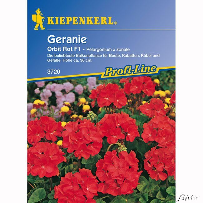 Kategorie <b>Blumensamen </b> - Geranie 'Orbit Rot' - Pelargonium x zonale
