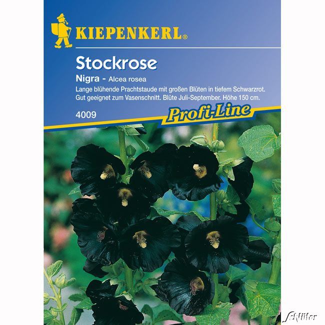 Kategorie <b>Blumensamen </b> - Stockrosen 'Nigra' - Alcea ficifolia