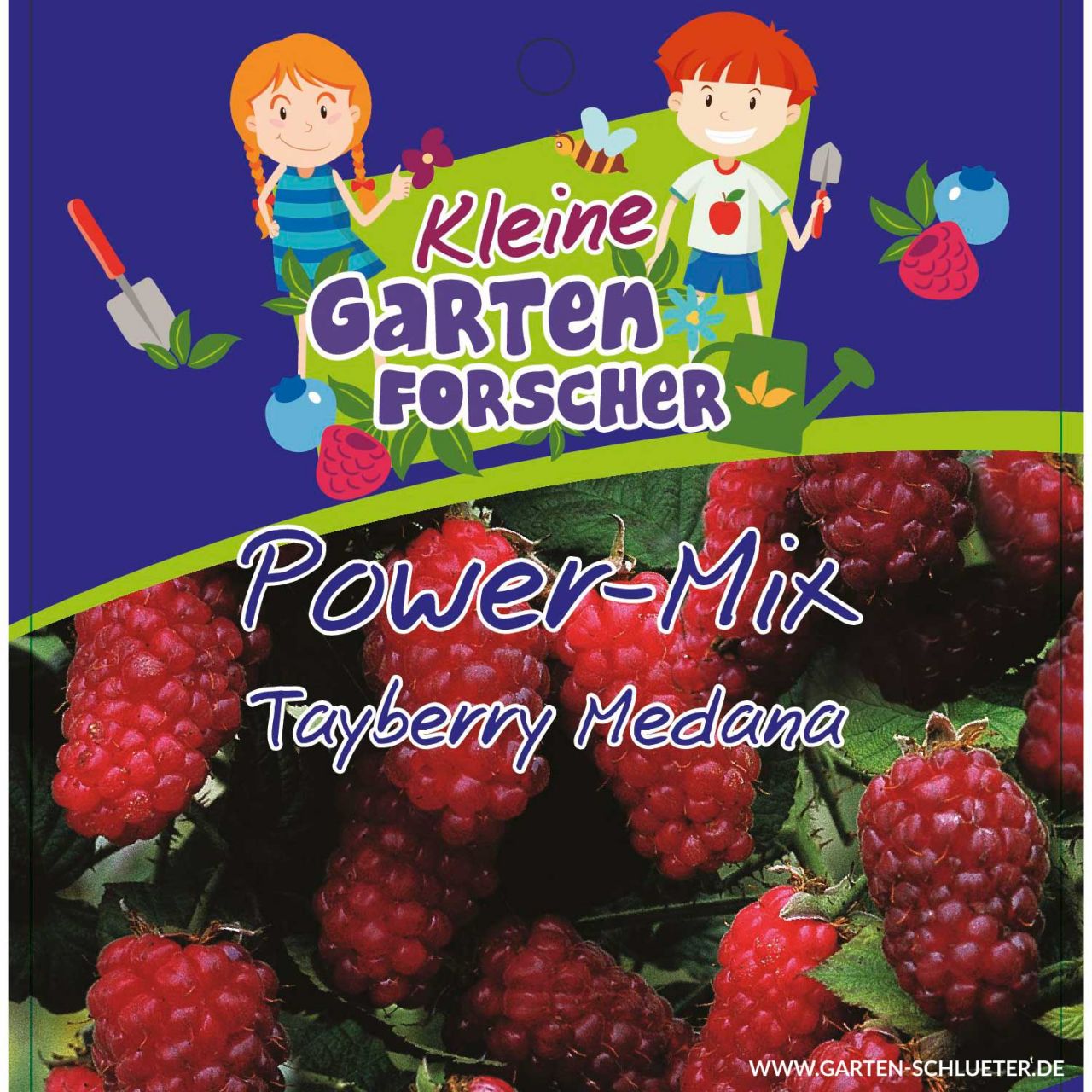 Tayberry Medana ‚Power-Mix-Beere‘   – Kleine Gartenforscher