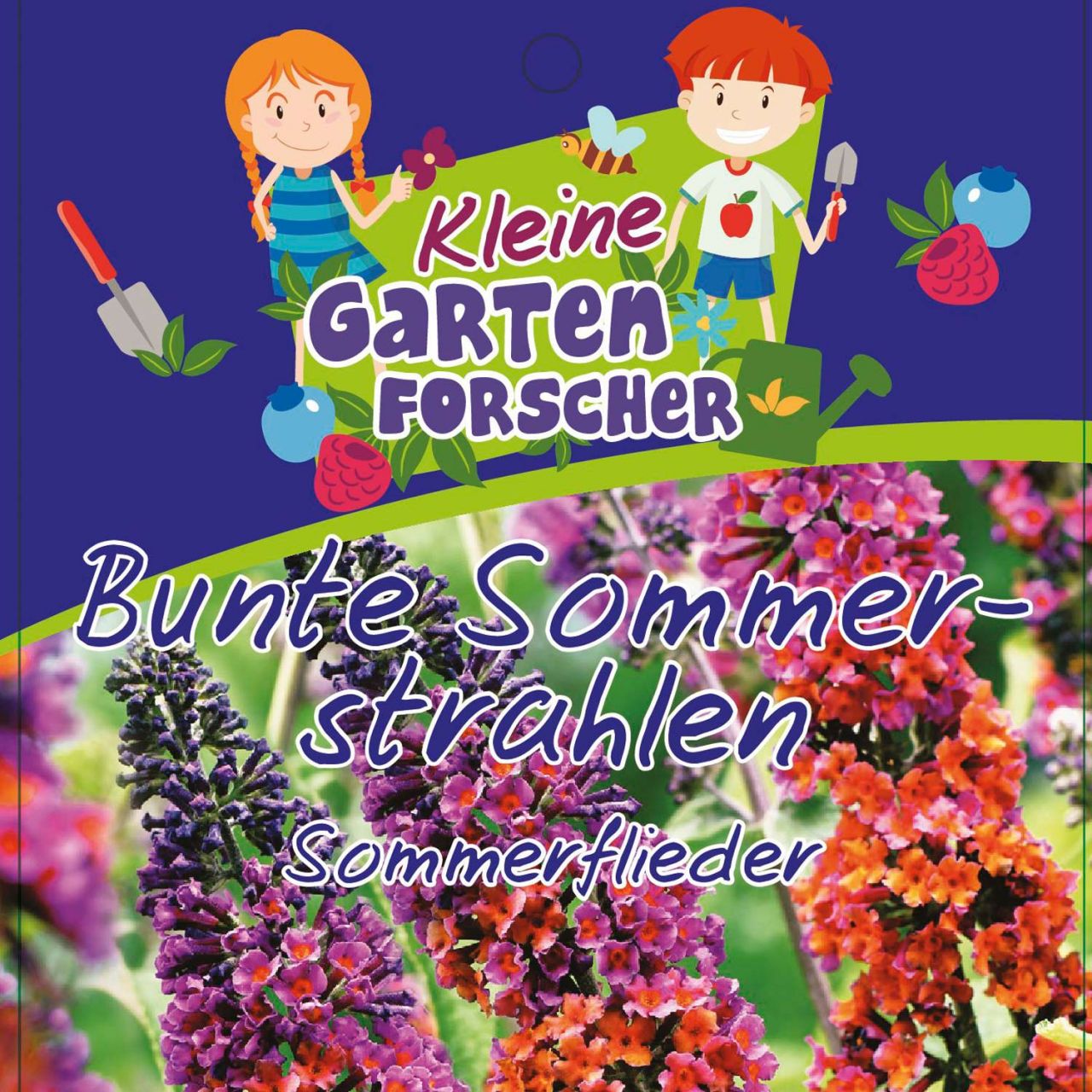 Kategorie <b>Blütensträucher und Ziergehölze </b> - Sommerflieder 'Bunte Sommerstrahlen' Kleine Gartenforscher - Buddleja