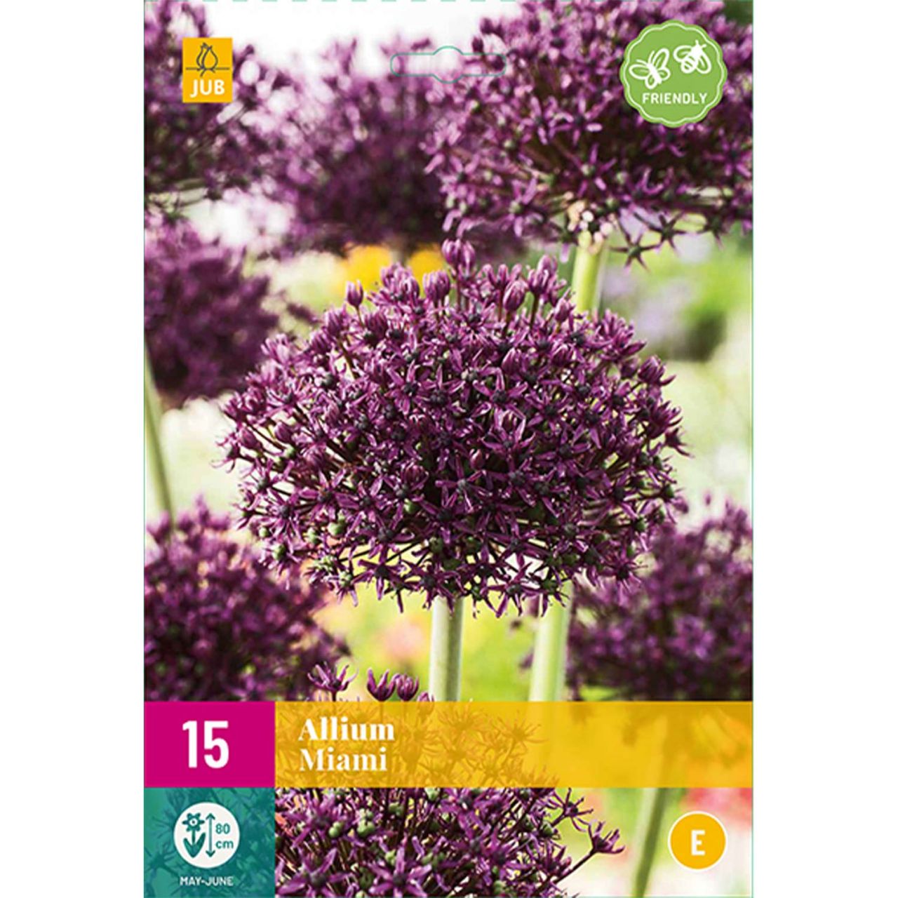 Kategorie <b>Herbst-Blumenzwiebeln </b> - Allium 'Miami®' - 15 Stück - Allium