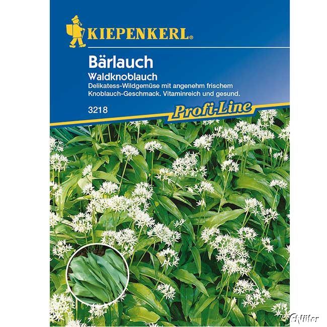 Kategorie <b>Kräuter-Samen </b> - Bärlauch / Waldknoblauch - Allium ursinium