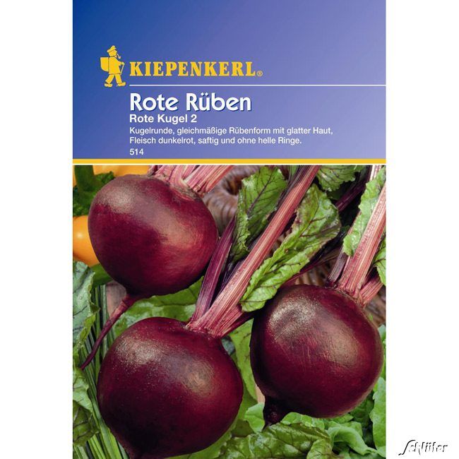 Kategorie <b>Gemüse-Samen </b> - Rote Rüben 'Rote Kugel 2' - Beta vulgaris var. vulgaris