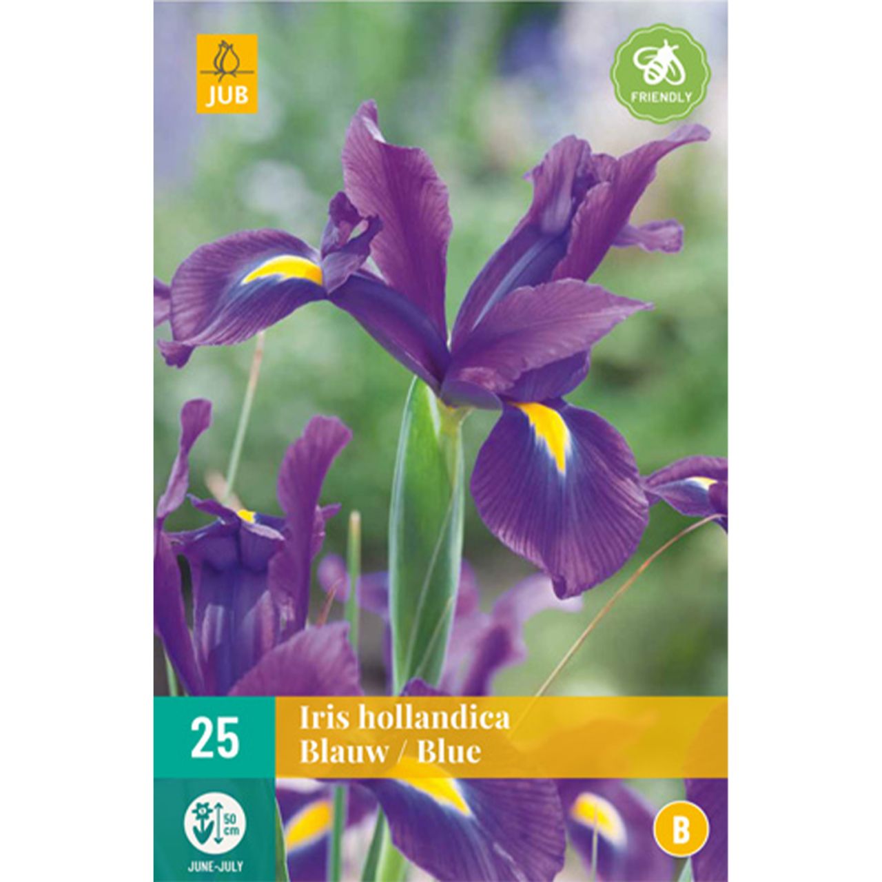 Kategorie <b>Herbst-Blumenzwiebeln </b> - Iris hollandica 'Blue' - 25 Stück - Iris hollandica