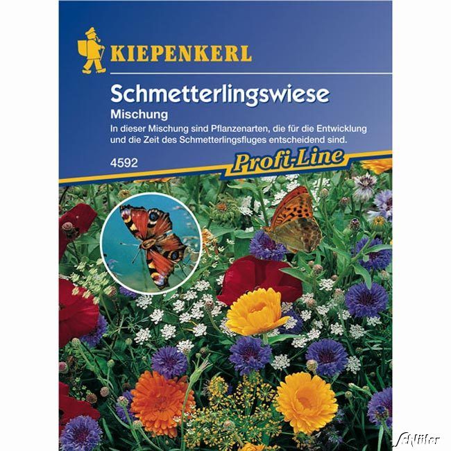 Kategorie <b>Gründünger </b> - Schmetterlingswiese - 