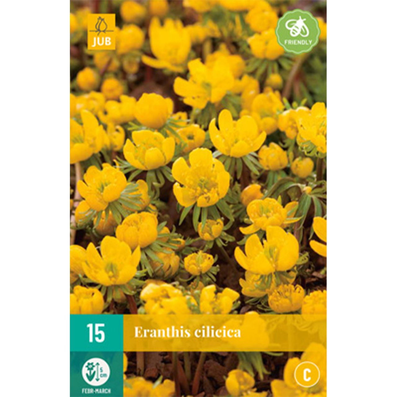 Kategorie <b>Herbst-Blumenzwiebeln </b> - Winterlinge - Eranthis cilicica