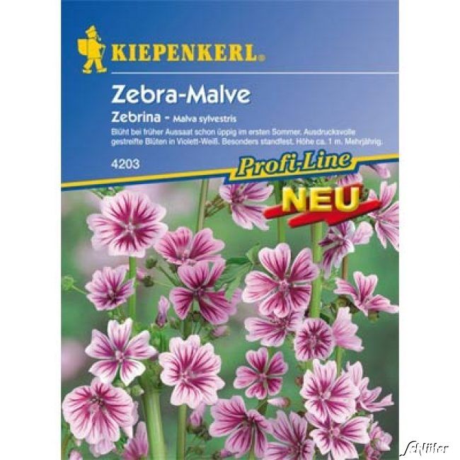 Kategorie <b>Blumensamen </b> - Zebra-Malve 'Zebrina' - Malva sylvestris