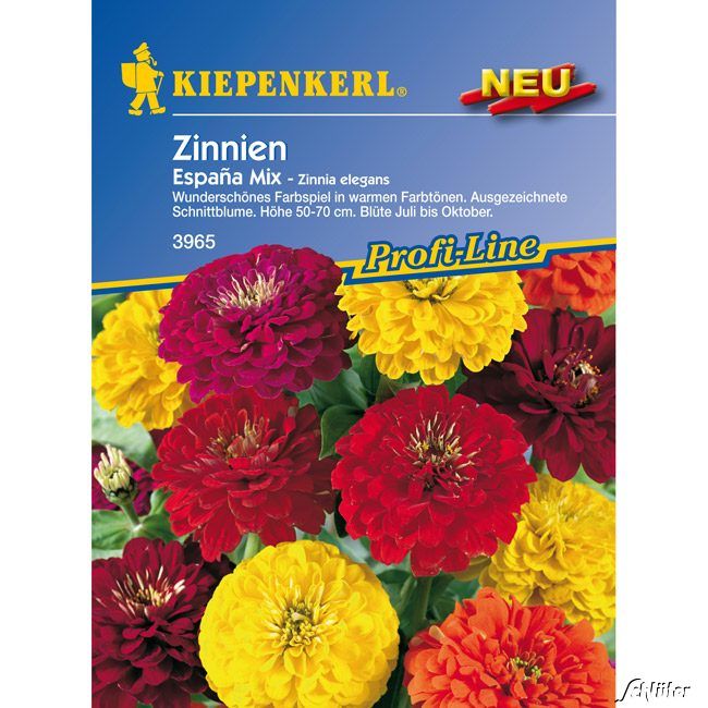 Kategorie <b>Blumensamen </b> - Zinnie 'España Mix' - Zinnia elegans 'España Mix'