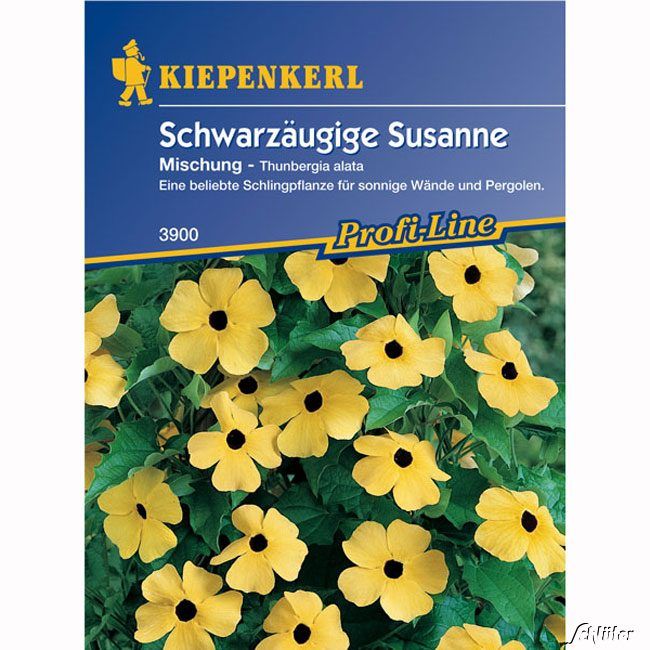 Kategorie <b>Blumensamen </b> - Schwarzäugige Susanne 'Mischung' - Thunbergia alata