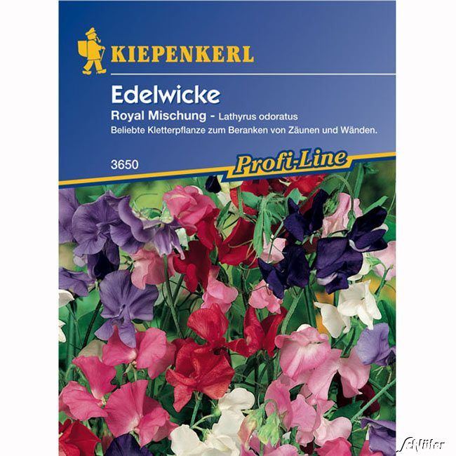 Kategorie <b>Blumensamen </b> - Duftwicken-Mischung - Lathyrus odoratus
