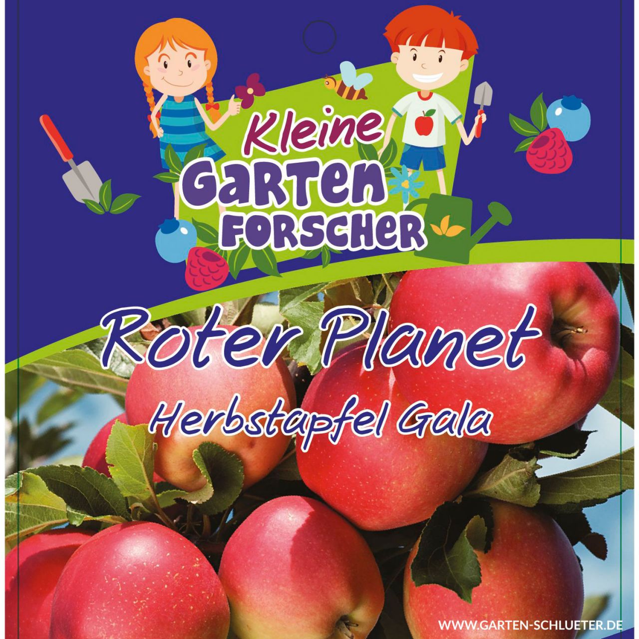 Kategorie <b>Apfel </b> - Apfel 'Roter Planet'  - Kleine Gartenforscher - Malus domestica 'Roter Planet'