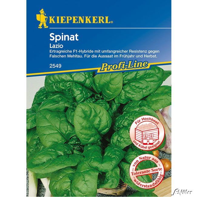 Kategorie <b>Gemüse-Samen </b> - Spinat 'Lazio' - Spinacia oleracea