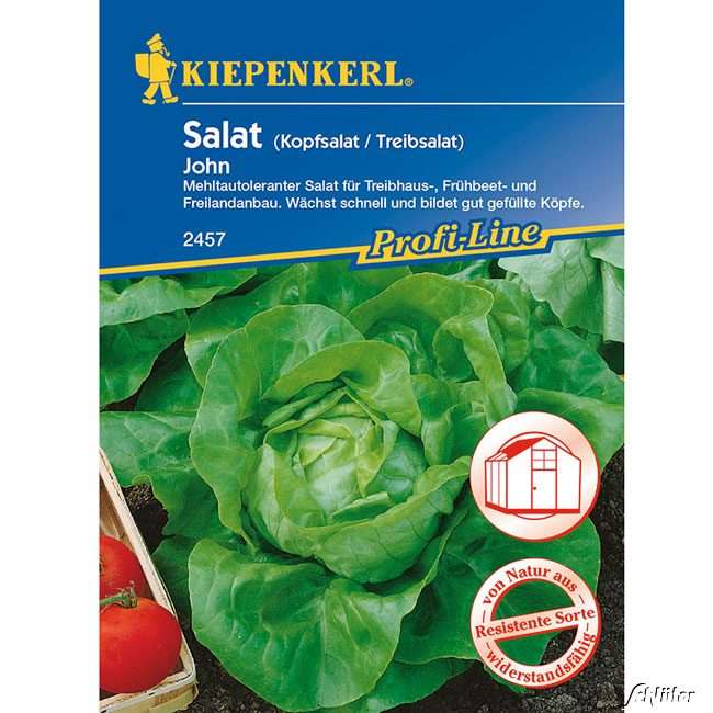 Salat online kaufen & bestellen | GARTEN SCHLÜTER