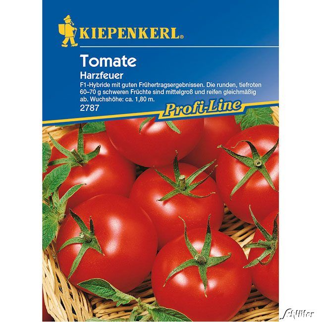Kategorie <b>Gemüse-Samen </b> - Tomate 'Harzfeuer F1' - Lycopersicon lycopersicum