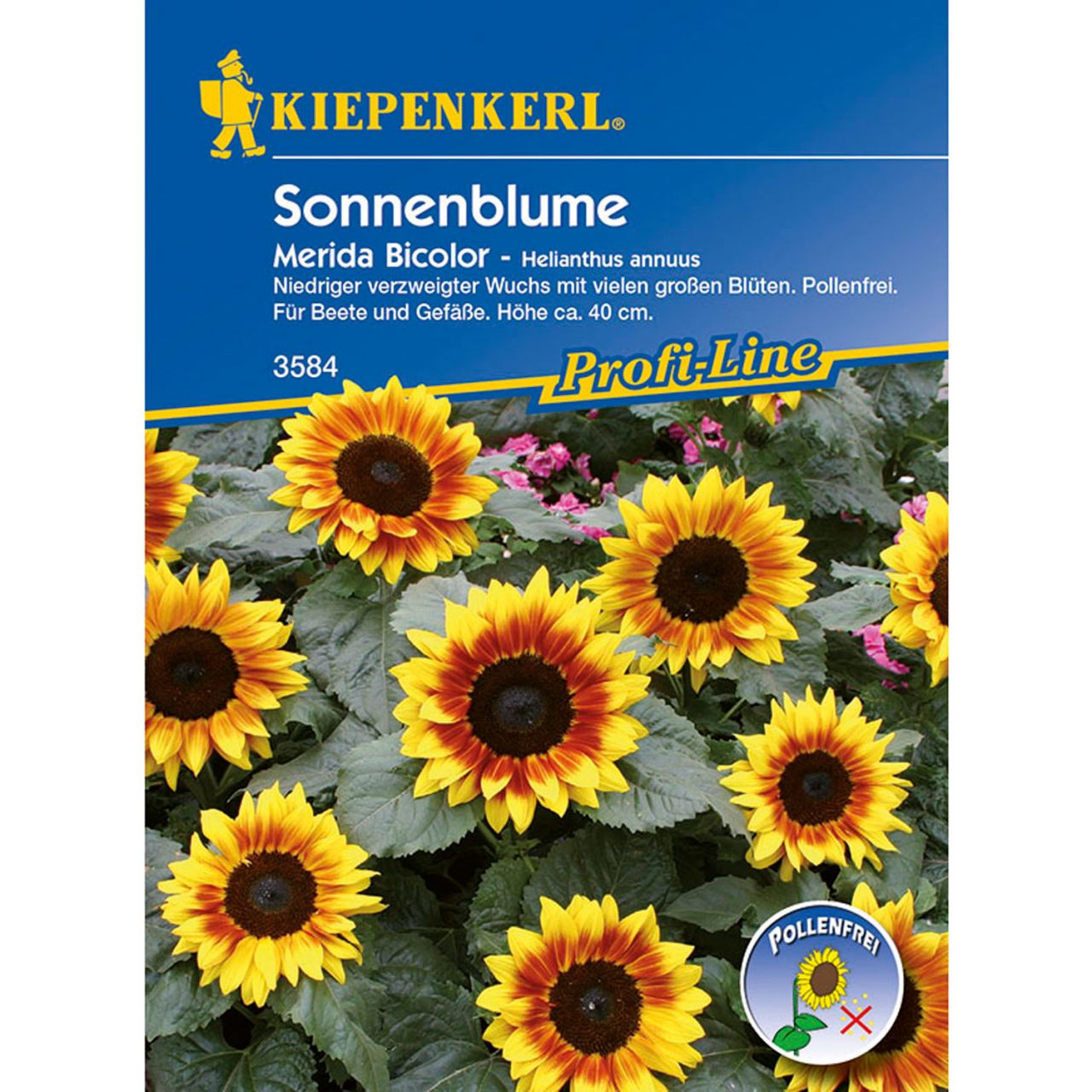 Blumensamen - Sonnenblume 'Merida Bicolor' - Helianthus annuus