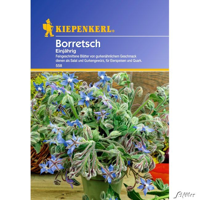 Kategorie <b>Kräuter-Samen </b> - Borretsch Einjährig - Borago officinalis