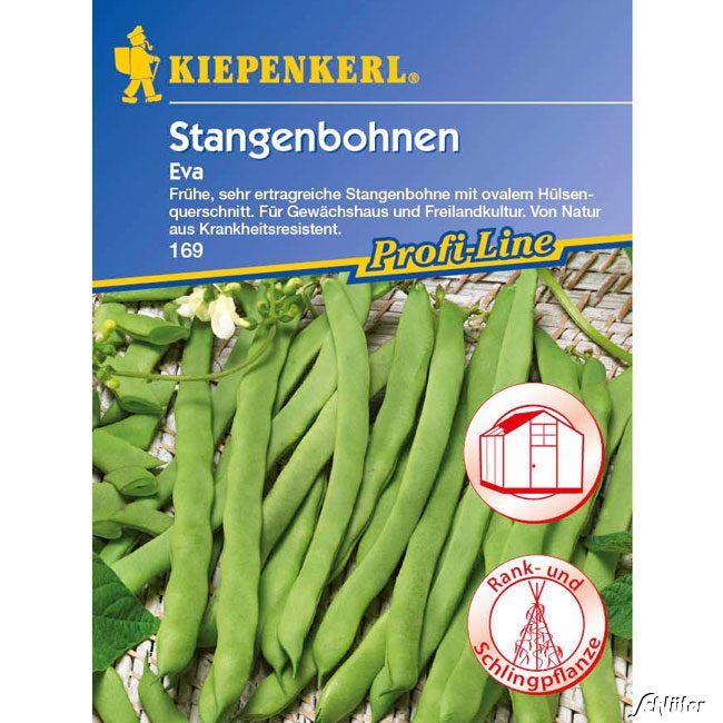 Kategorie <b>Gemüse-Samen </b> - Stangenbohne 'Eva' - Phaseolus vulgaris var. vulgaris 'Eva'
