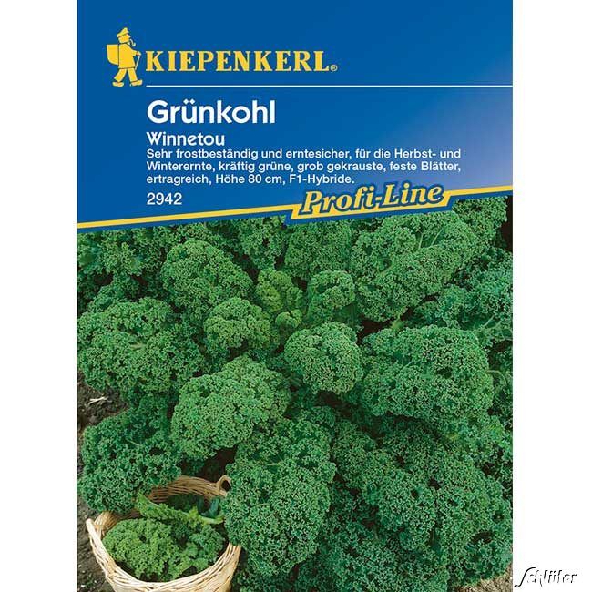 Kategorie <b>Gemüse-Samen </b> - Grünkohl 'Winnetou' - Brassica oleracea var. sabellica