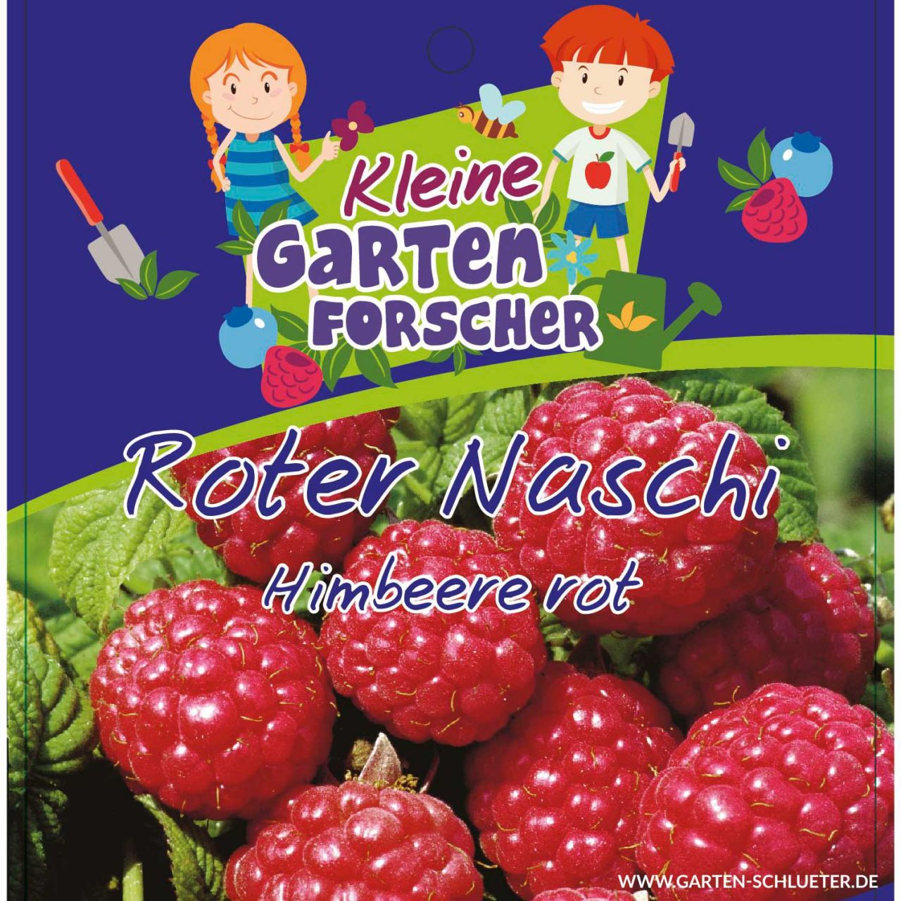 Kategorie <b>Beeren </b> - Rote Himbeere 'Roter Naschi' Kleine Gartenforscher - Rubus idaeus
