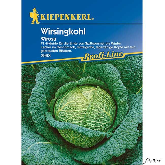 Kategorie <b>Gemüse-Samen </b> - Wirsingkohl 'Wirosa' - Brassica oleracea var.