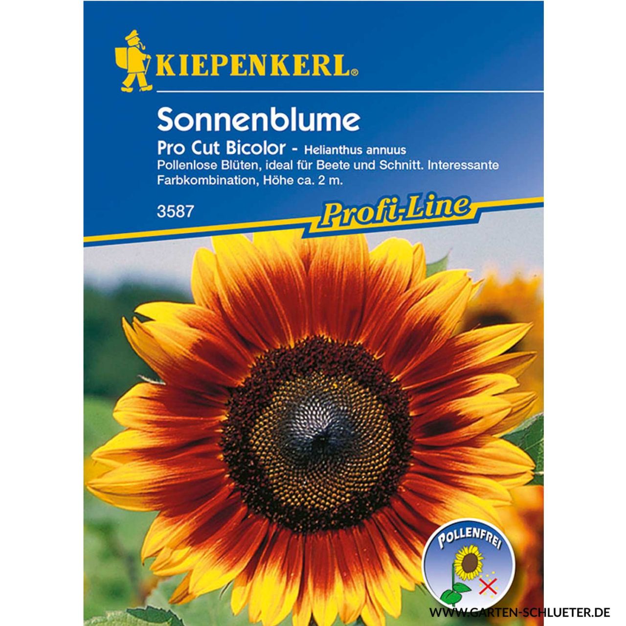 Blumensamen - Sonnenblume 'Pro Cut Bicolor' - Helianthus annuus