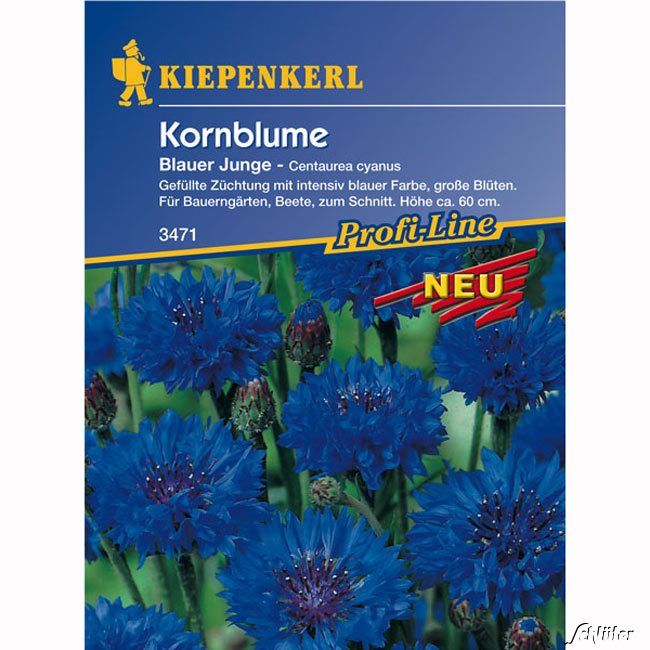 Kategorie <b>Blumensamen </b> - Kornblumen 'Blauer Junge' - Centaurea cyanus