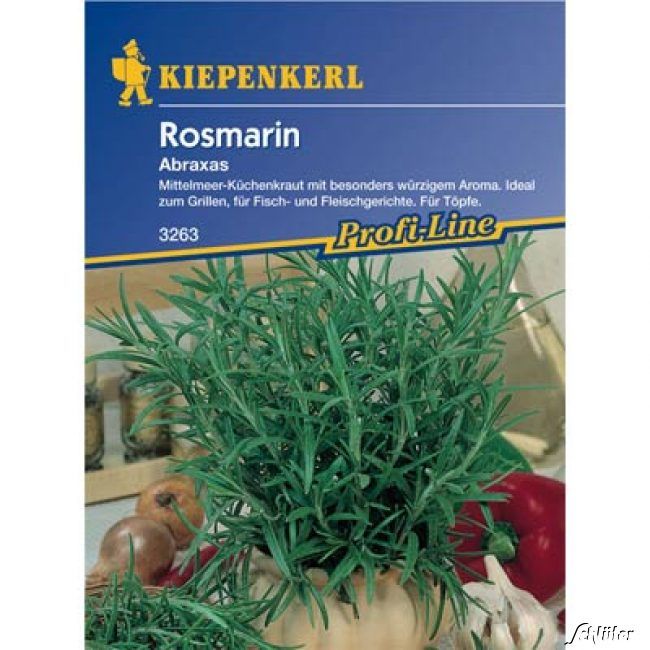 Kategorie <b>Kräuter-Samen </b> - Rosmarin 'Abraxas' - Rosmarinus officinalis