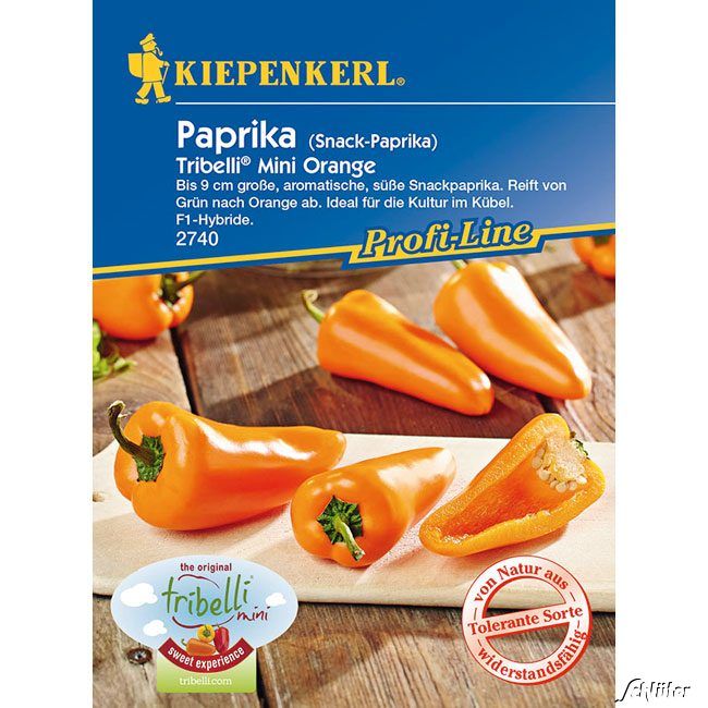 Kategorie <b>Gemüse-Samen </b> - Mini-Snackpaprika 'Tribelli® Mini Orange' - Capsicum annuum