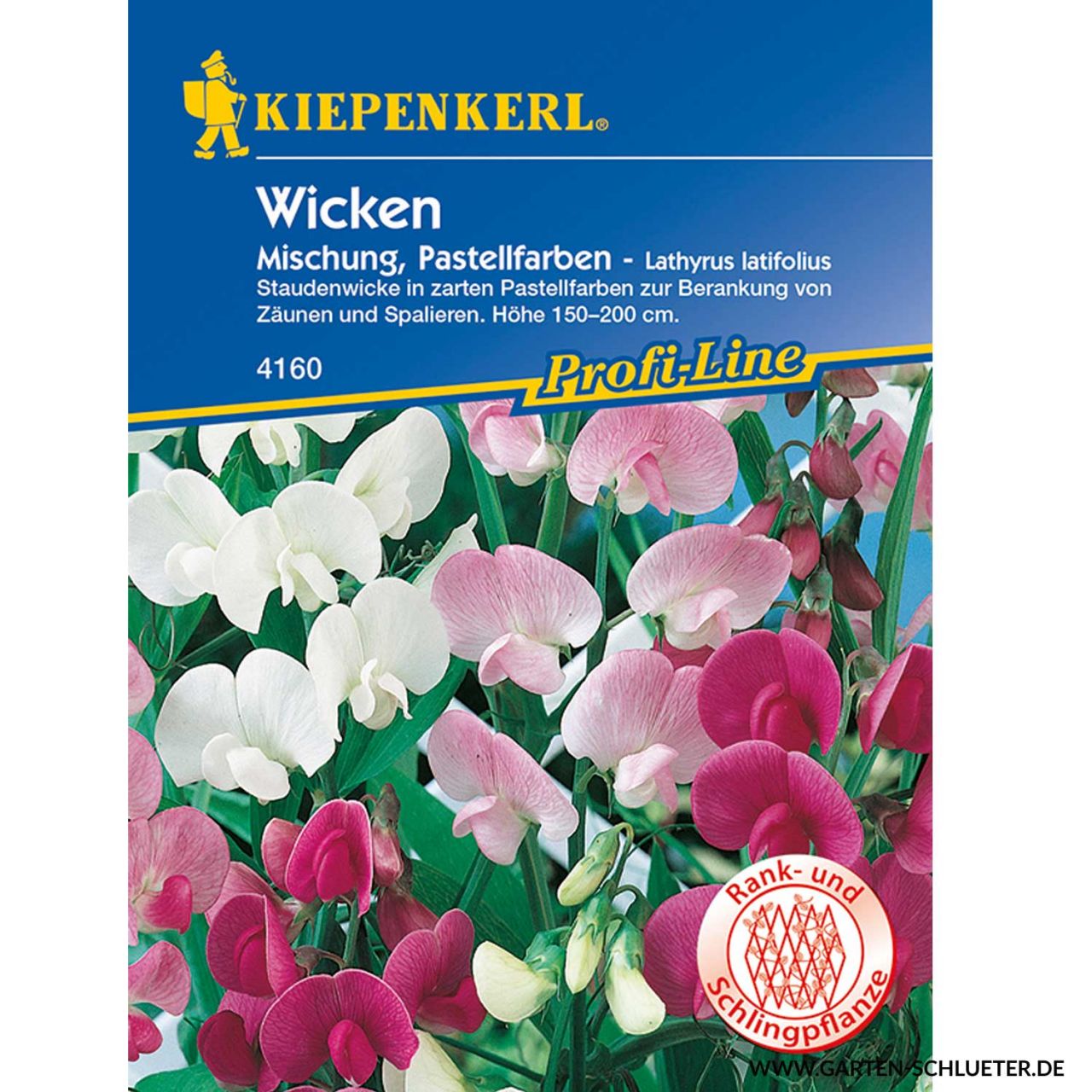 Kategorie <b>Blumensamen </b> - Wicken 'Staudenwicken' - Lathyrus latifolius