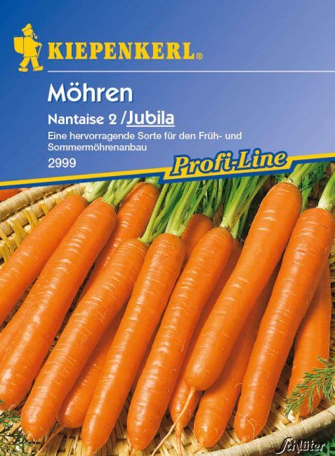 Kategorie <b>Gemüse-Samen </b> - Möhre 'Nantaise 2 / Jubila' (Saatgut) - Daucus carota ssp. sativus