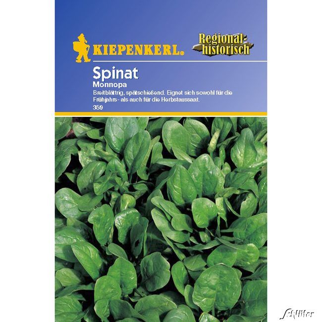 Kategorie <b>Gemüse-Samen </b> - Spinat 'Monnopa' - Spinacia oleracea