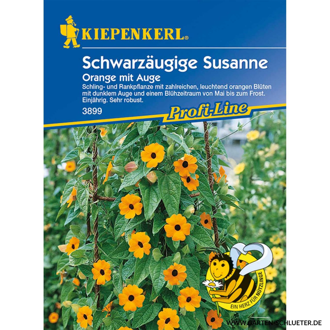 Kategorie <b>Blumensamen </b> - Schwarzäugige Susanne 'Susi' - Thunbergia alata