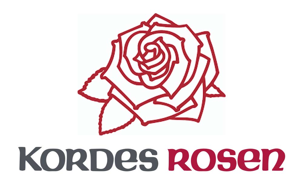 Kordes Rosen