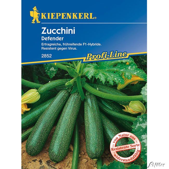 Zucchini ‚Defender‘