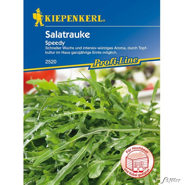 Kategorie <b>Gemüse-Samen </b> - Salatrauke 'Speedy' - Eruca sativa