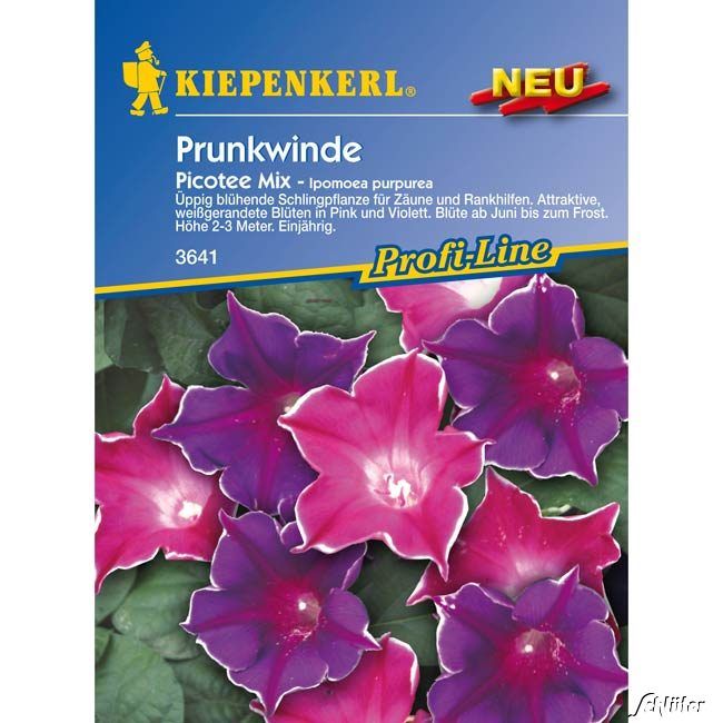 Kategorie <b>Blumensamen </b> - Prunkwinde 'Picotee Mix' - Ipomoea purpurea 'Picotee Mix'