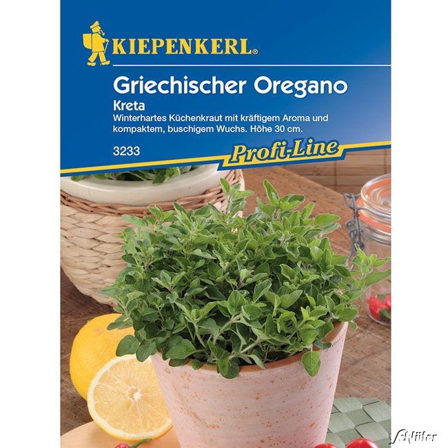 Kategorie <b>Kräuter-Samen </b> - Griechischer Oregano 'Kreta' - Origanum vulgare