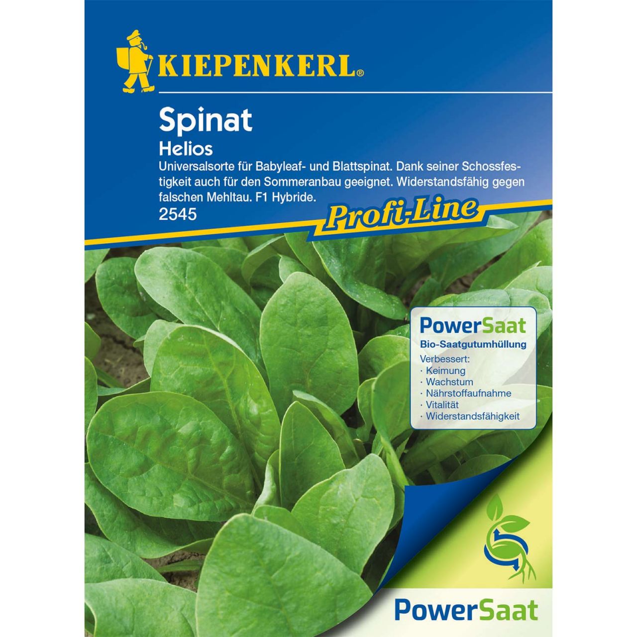 Kategorie <b>Gemüse-Samen </b> - Spinat Helios' - Powersaat - Spinacia oleracea