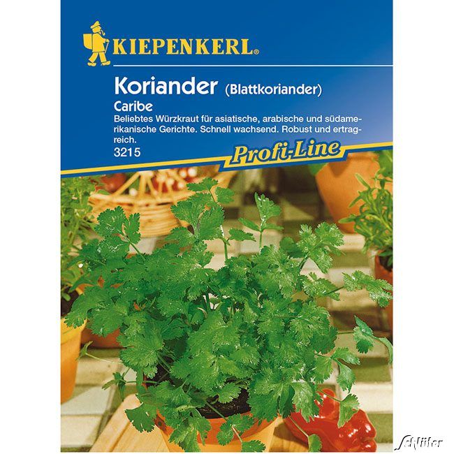 Kategorie <b>Kräuter-Samen </b> - Koriander Caribe - Coriandrum sativum