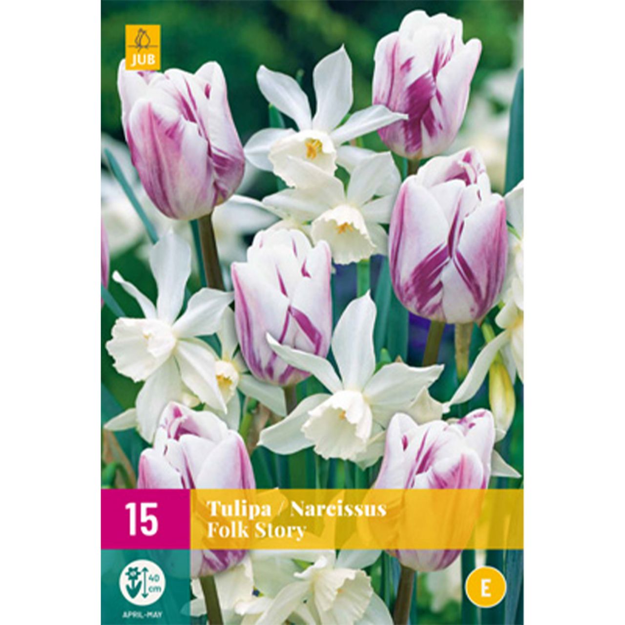 Kategorie <b>Herbst-Blumenzwiebeln </b> - Tulpen & Narzissen Mischung 'Folk Story' - 15 Stück - Tulipa & Narcissus 'Folk Story'