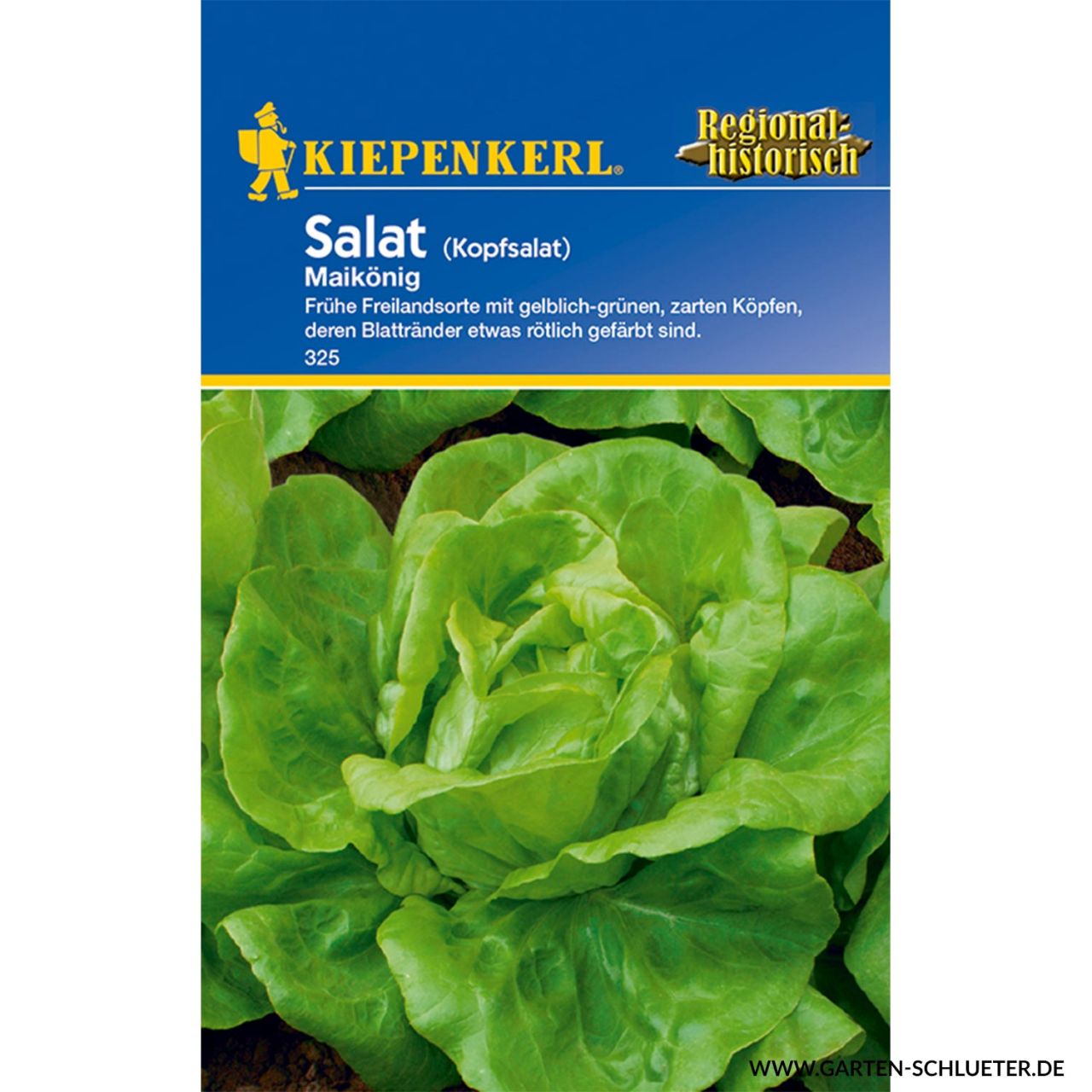 Kategorie <b>Gemüse-Samen </b> - Salat 'Maikönig' (Meikoningin) - Lactuca sativa var. capitata