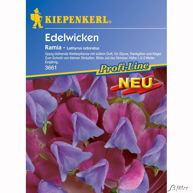 Kategorie <b>Blumensamen </b> - Wicke (Edelwicke) 'Ramia' - Lathyrus odoratus
