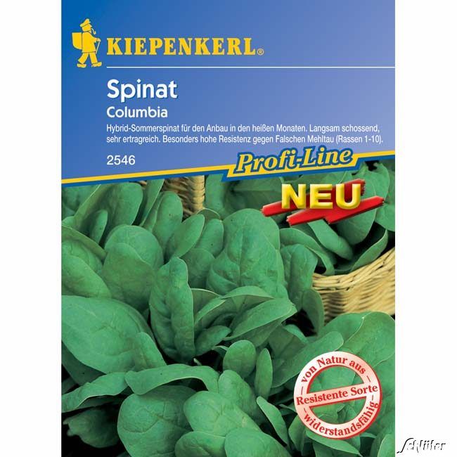 Kategorie <b>Gemüse-Samen </b> - Spinat 'Columbia' - Spinacia oleracea