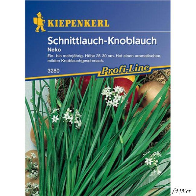 Kategorie <b>Kräuter-Samen </b> - Schnitt-Knoblauch 'Neko' - Allium tuberosum